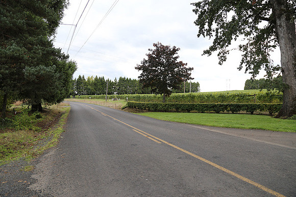 Dilly Rd-1514