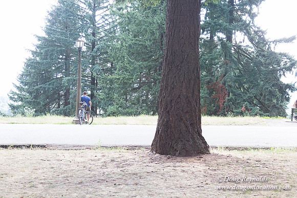 Mt Tabor Top- View 3 West