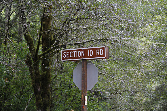 Section 10 Rd-0099