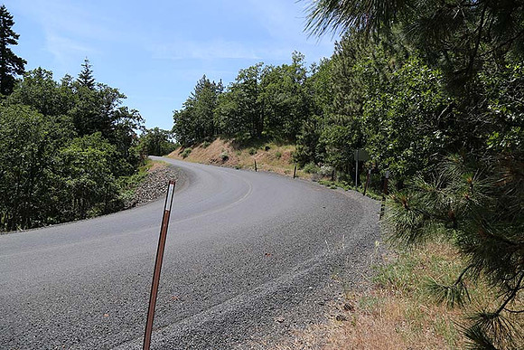 Canyon Rd 2-8002