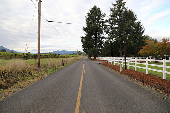 Dilly Rd-1530