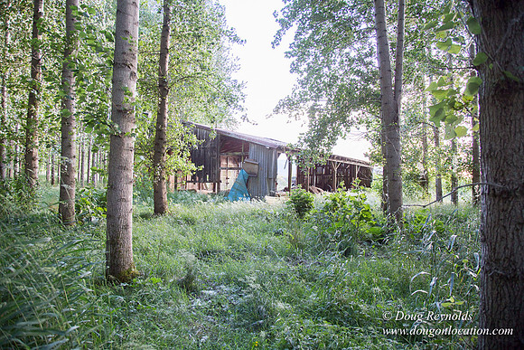 LCG & GWG Tree Farm