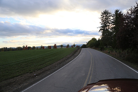 Morres Valley Rd-1693