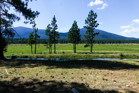 Ranch 18