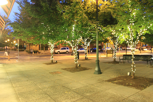 Jamason Park-6564
