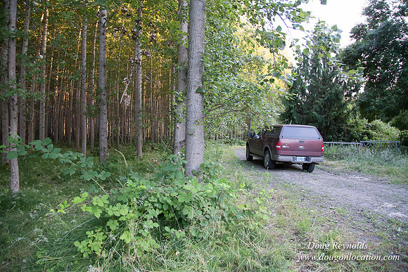 LCG & GWG Tree Farm