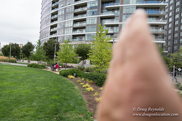 The Fields Park