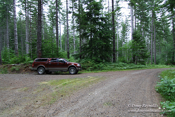 Tree & Forested locations