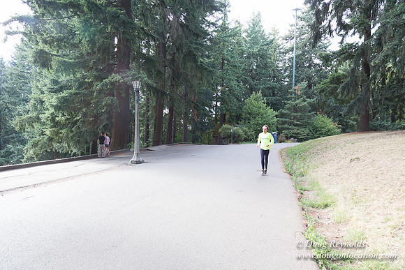 Mt Tabor Top- View 3 West