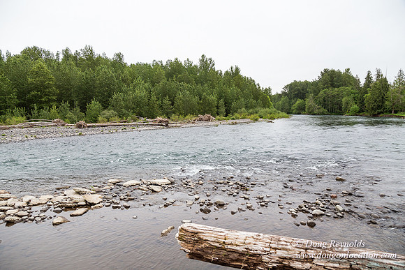 Ranch 21 at River