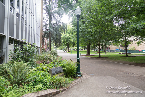 Portland Streets