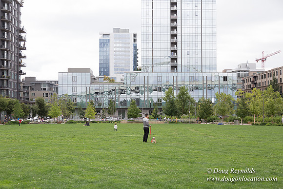 The Fields Park