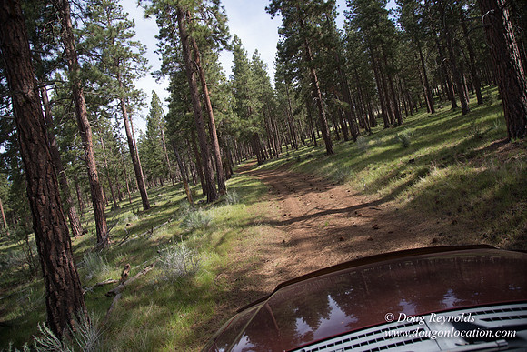 Ranch 18
