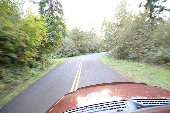 Woodland Ln-1763