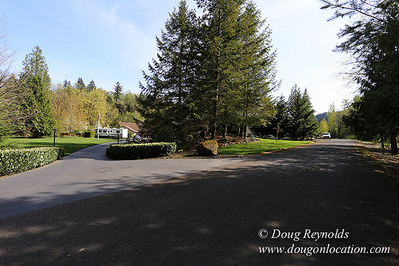 Brians Pond & Drive-9918