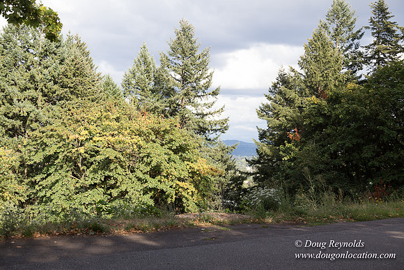 Mt tabor View 2 East