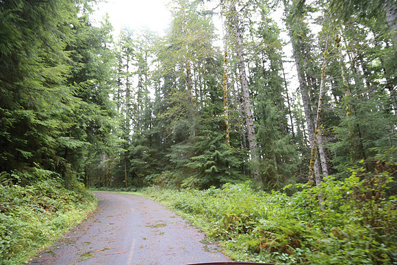 Saddle Mt Rd-0336