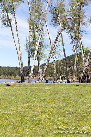 Ranch 18