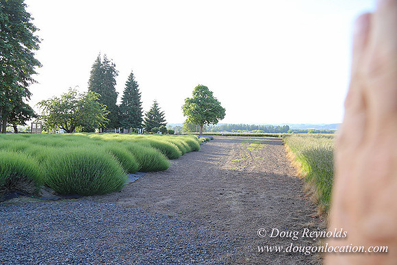 Toms Rd Side-6398