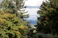 Mt tabor View 2 East
