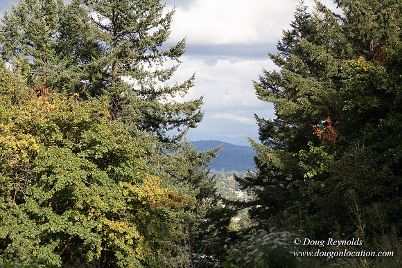 Mt tabor View 2 East