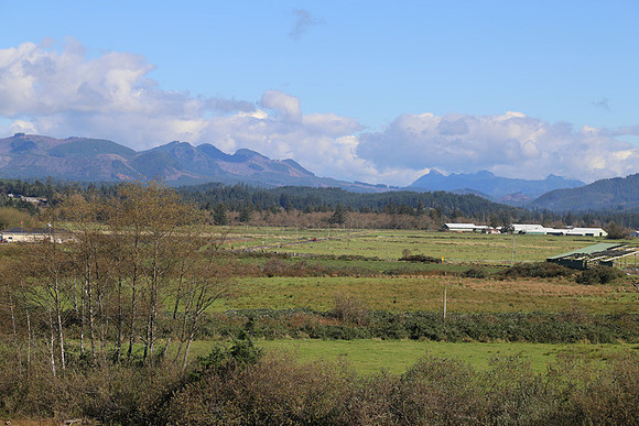 Nehalem 101 Brdg-1044