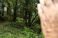 Saddle Mt Rd-0307