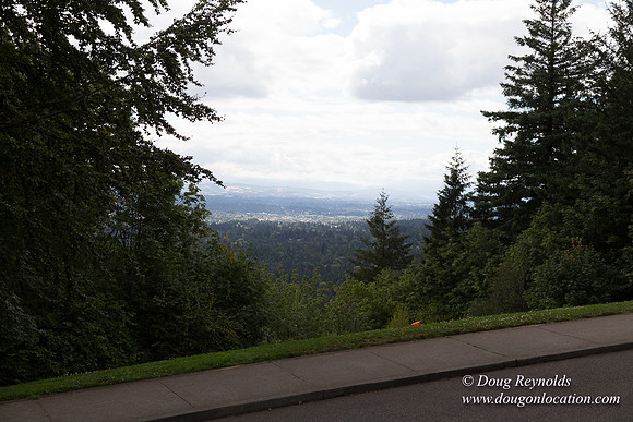Council Crest Park View