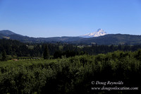 Portland Dr HdRv-8196