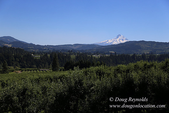 Portland Dr HdRv-8196