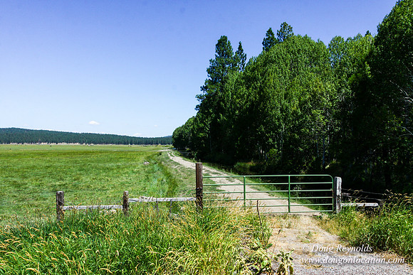 Ranch 18