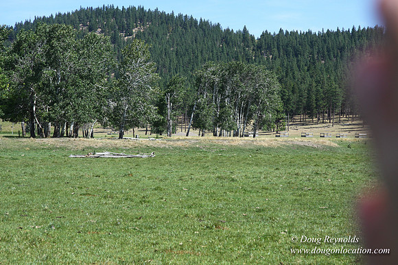 Ranch 18