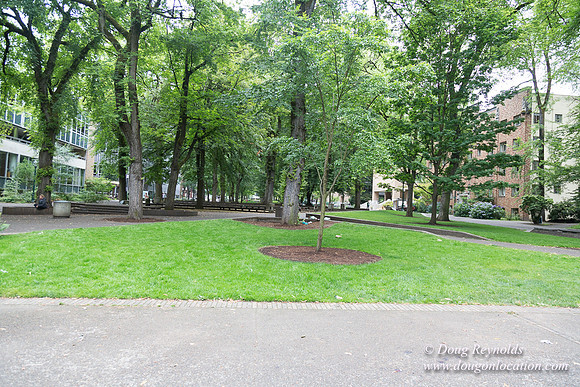 Portland Streets