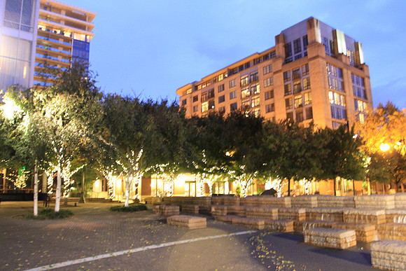 Jamason Park-6579