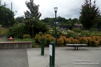 Portland Streets
