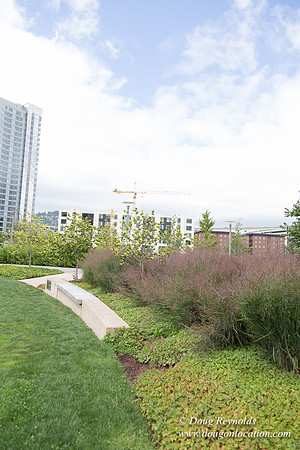The Fields Park