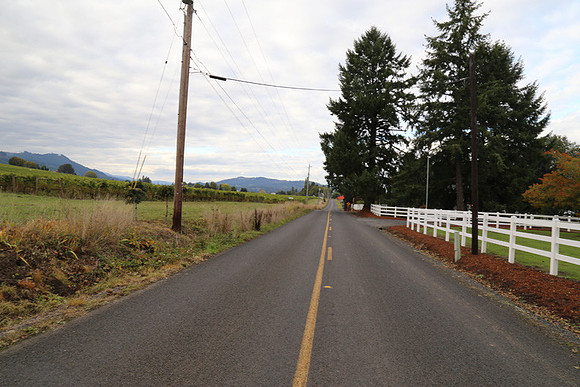Dilly Rd-1535