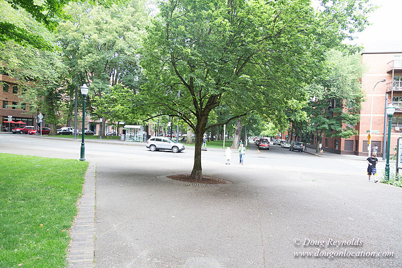 Portland Streets