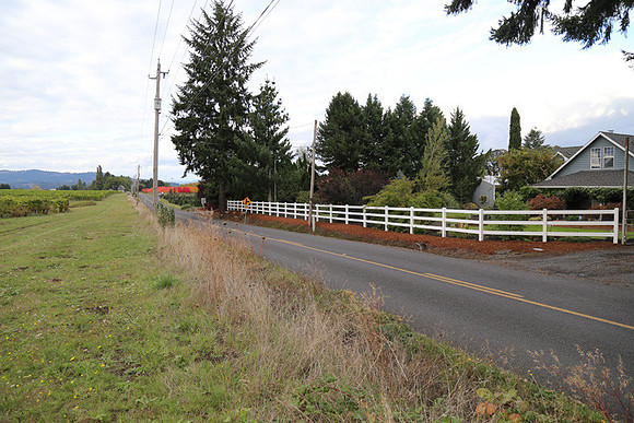 Dilly Rd-1543