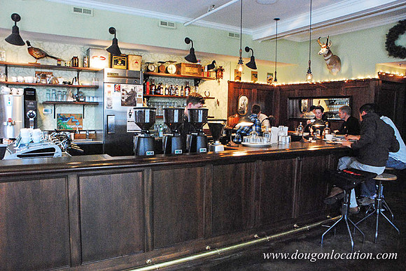 Barista on Alberta