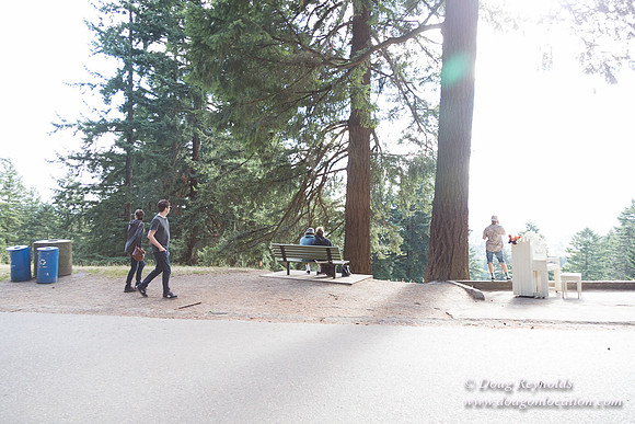 Mt Tabor Top- View 3 West