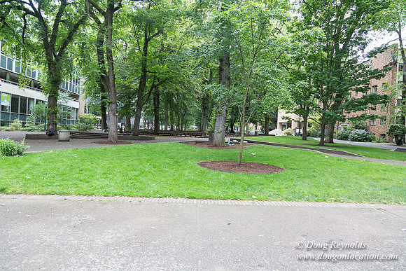 Portland Streets