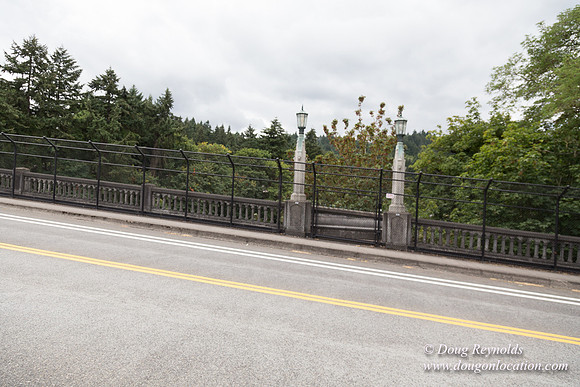 VIsta Bridge