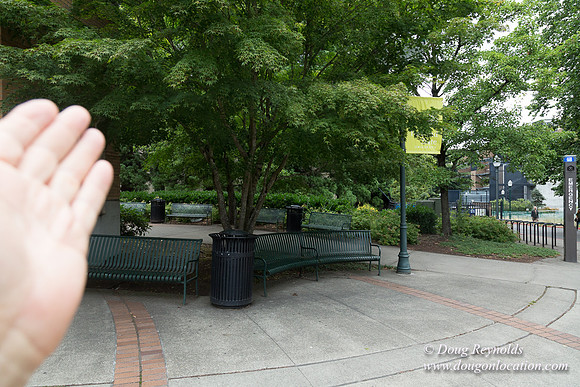 Portland Streets