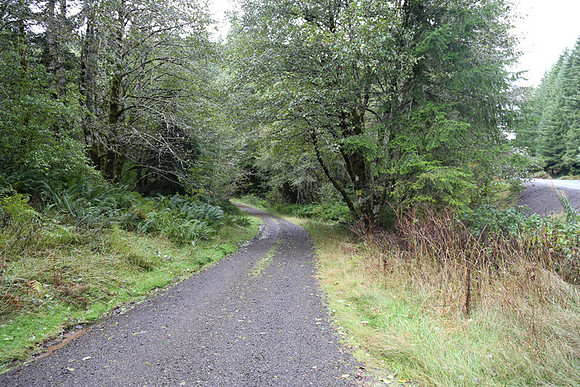 Section 10 Rd-0116