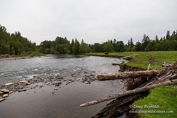Ranch 21 at River