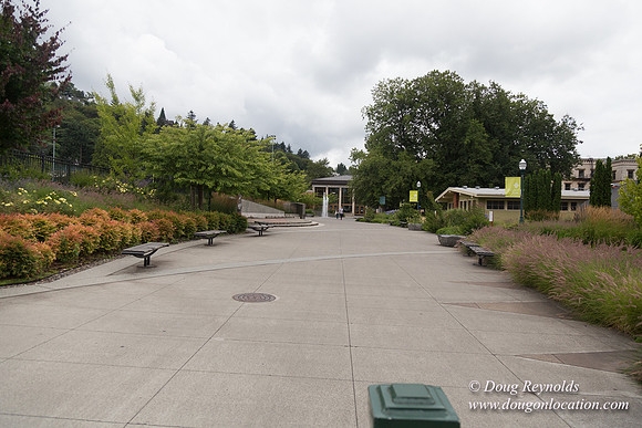 Portland Streets