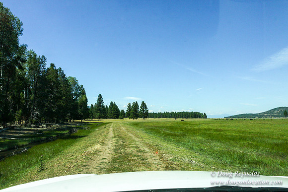 Ranch 18