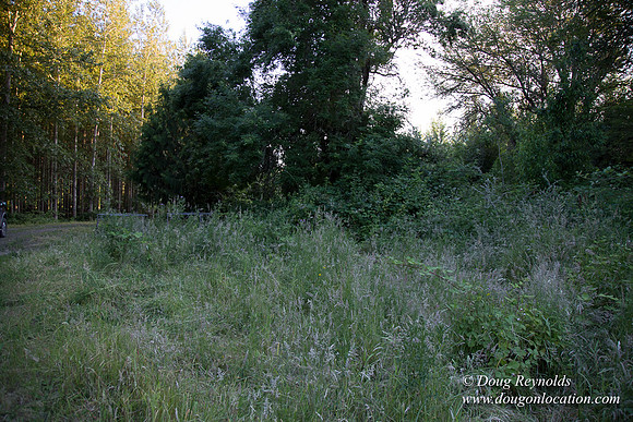 LCG & GWG Tree Farm