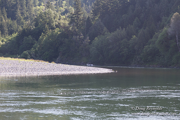 River 36 Running Wild